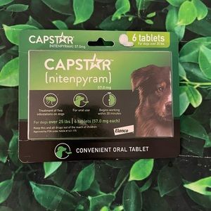 Capstar for dogs